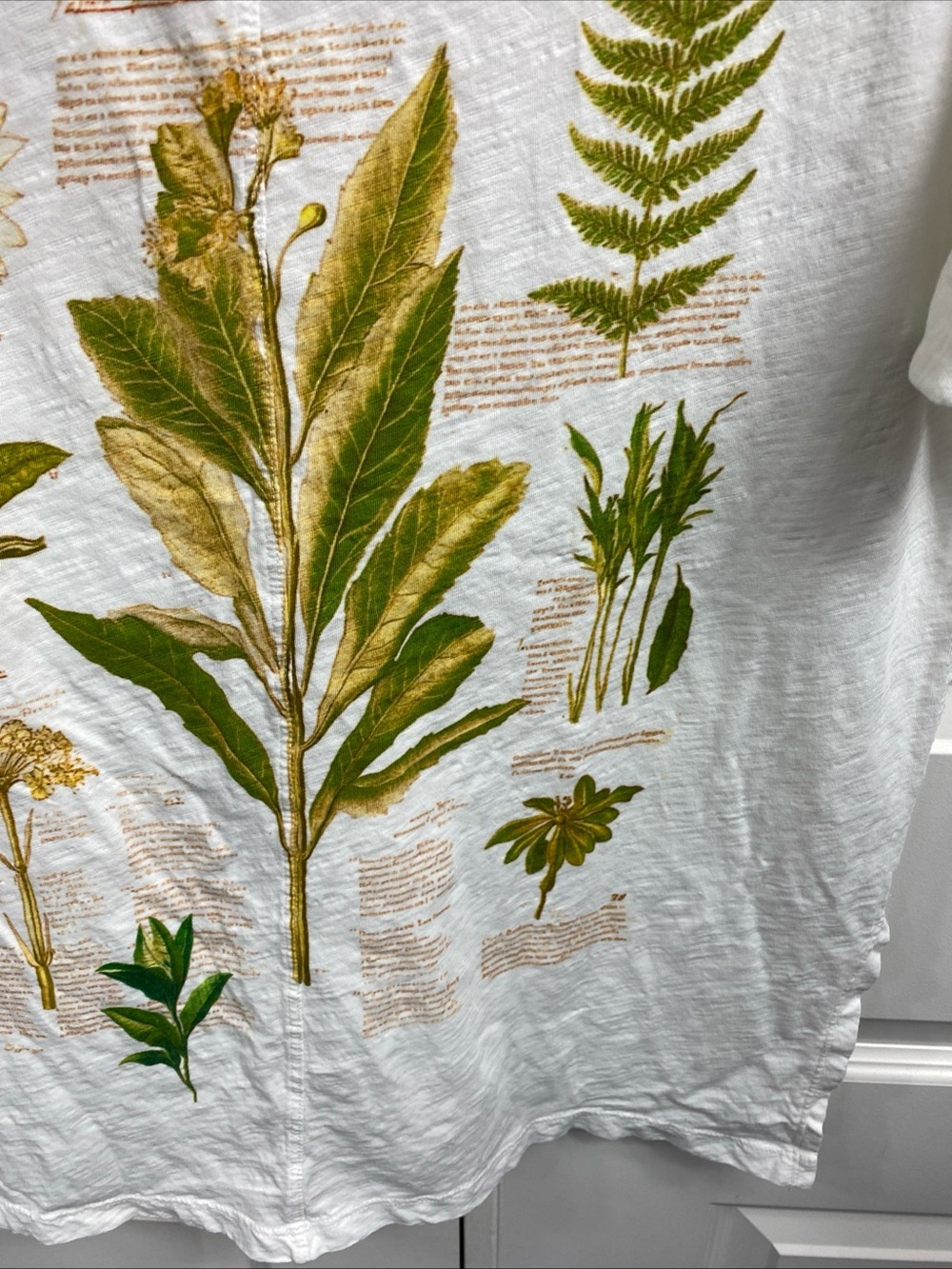 Pilcro Anthropologie Floral Botanical T Shirt Small Cotton Oversized Spring - Picture 6 of 8